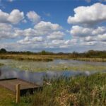 Doxey Marshes